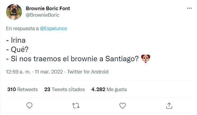 Brownie Boric