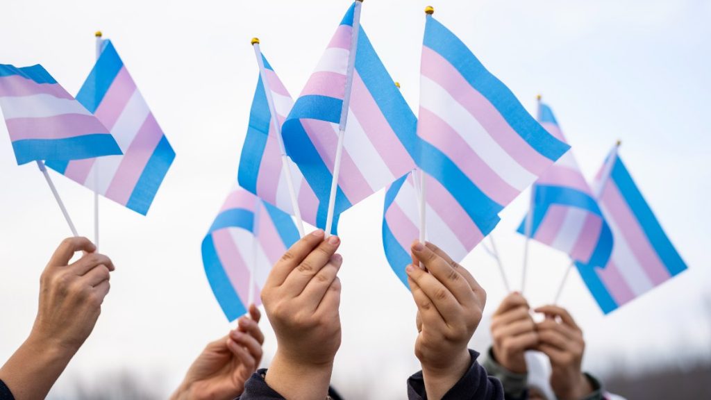 Dia De La Visibilidad Trans