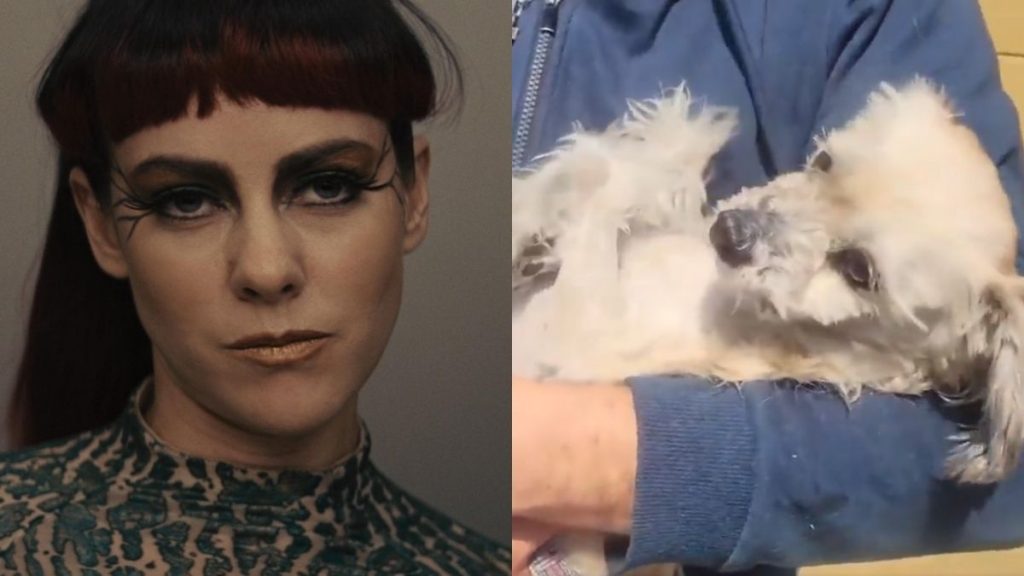 Actriz de Los Juegos del Hambre