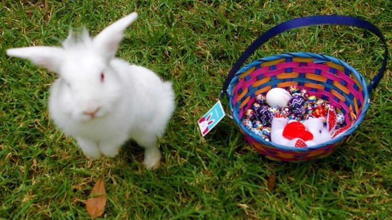 Semana Santa huevitos