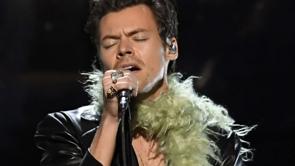 Coachella Harry Styles