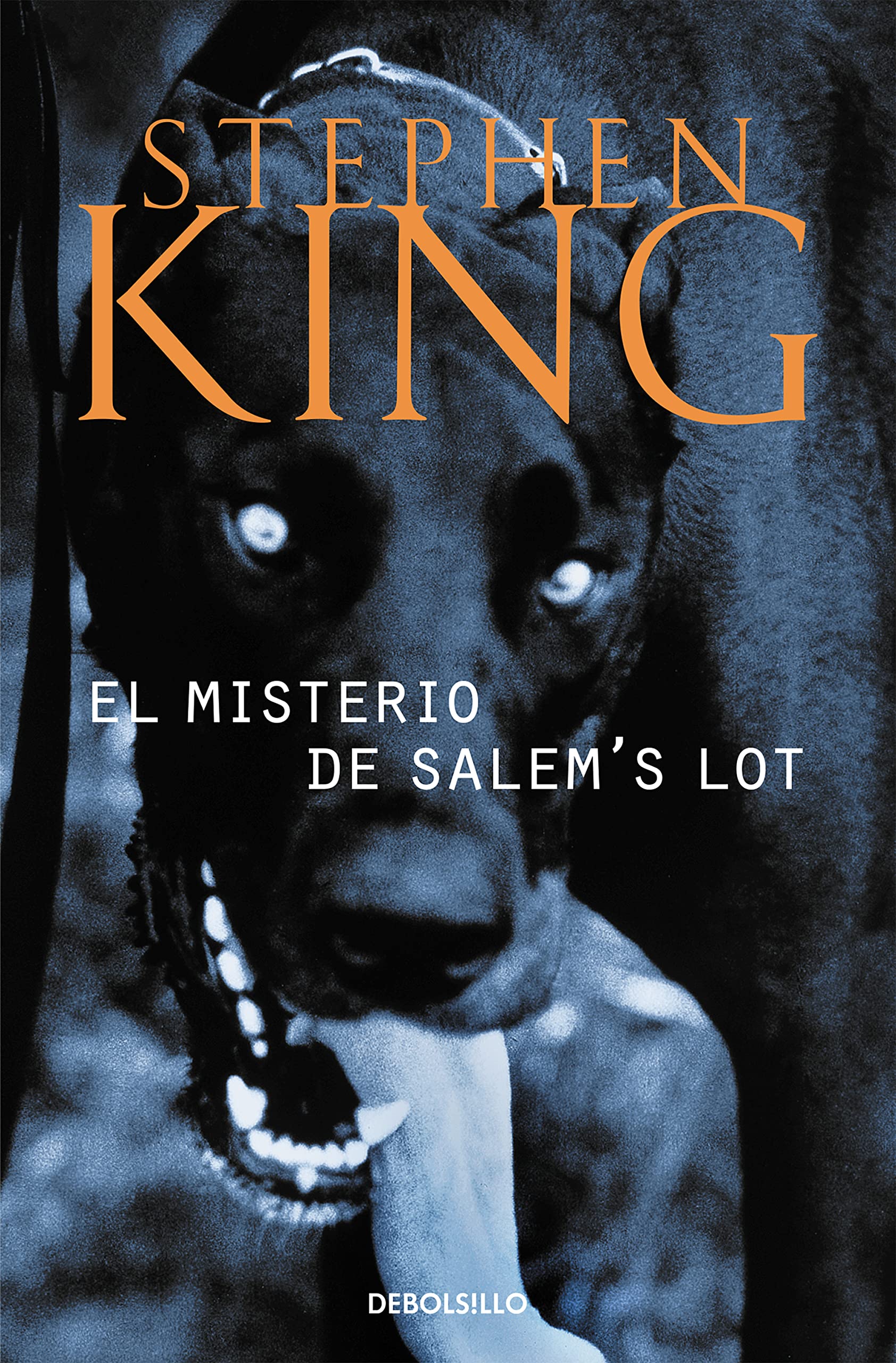 Salems Lot Libro