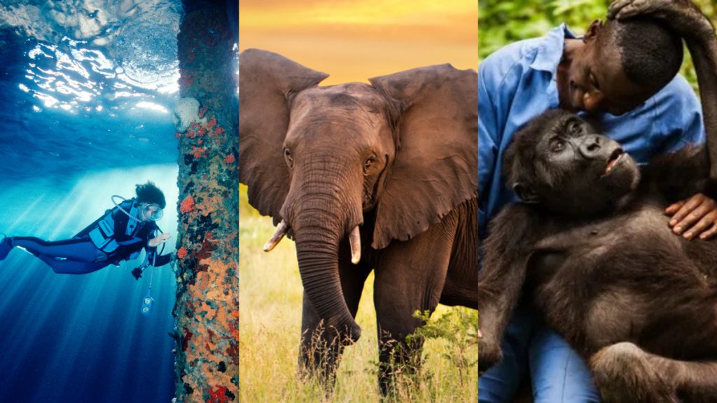 Documentales Día De La Tierra