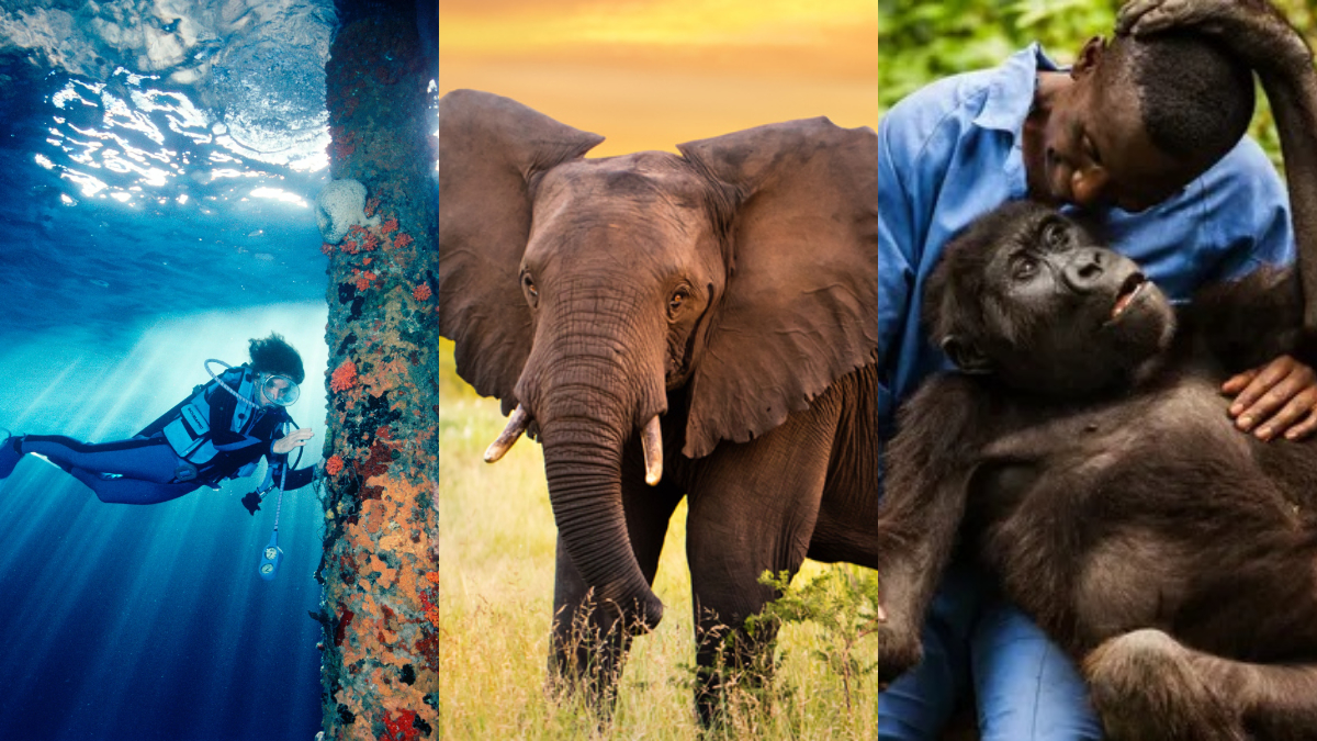 Día de la Tierra: 5 Documentales para reflexionar del cuidado del ...