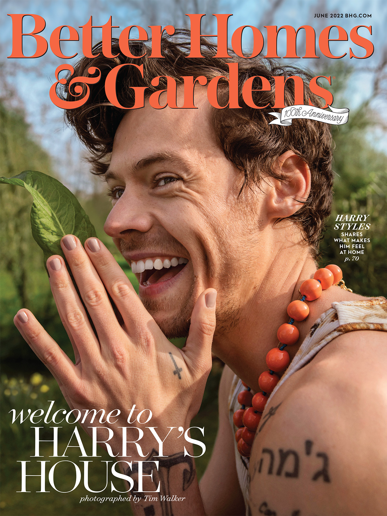 Harry Styles para BHG