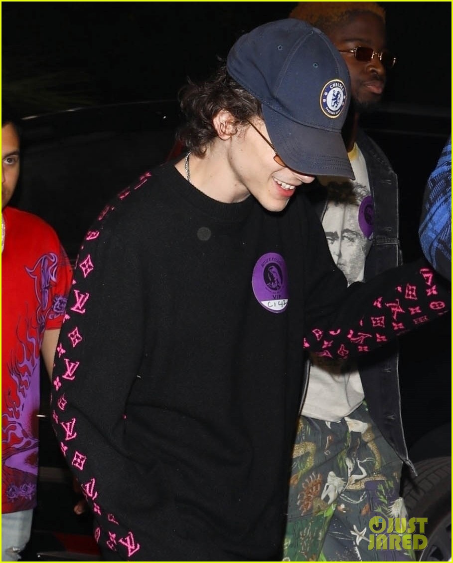 Timothée Chalamet en Coachella