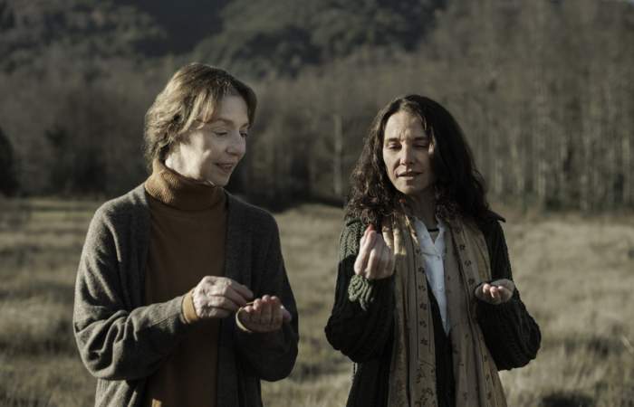 42 Días en la Oscuridad