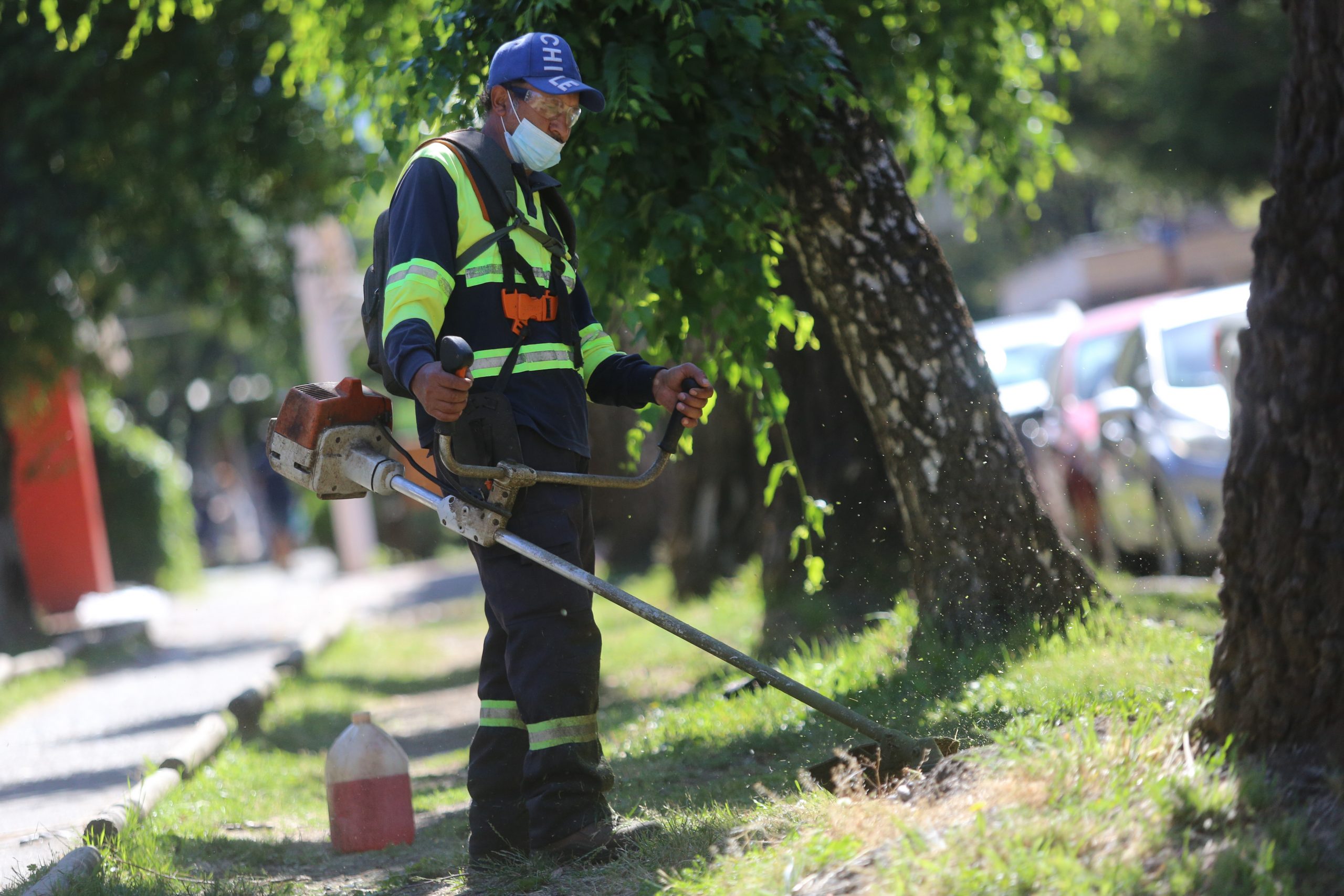 IFE Laboral, Agencia Uno
