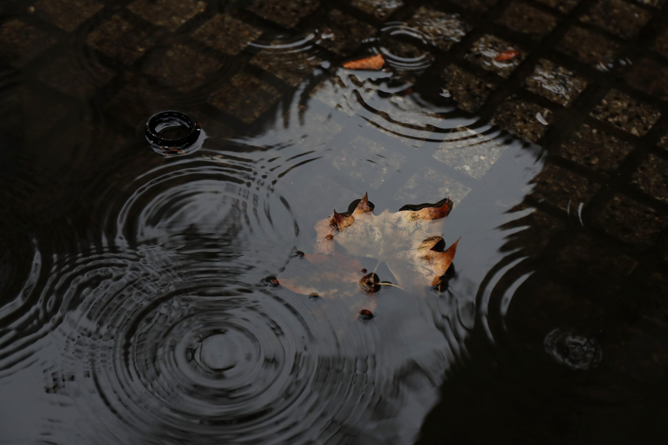 Primeras Precipitaciones Llegan A La Capital