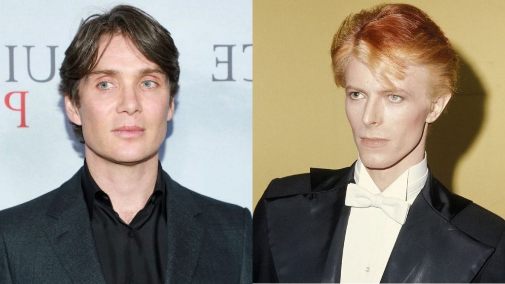 Cillian Murphy David Bowie