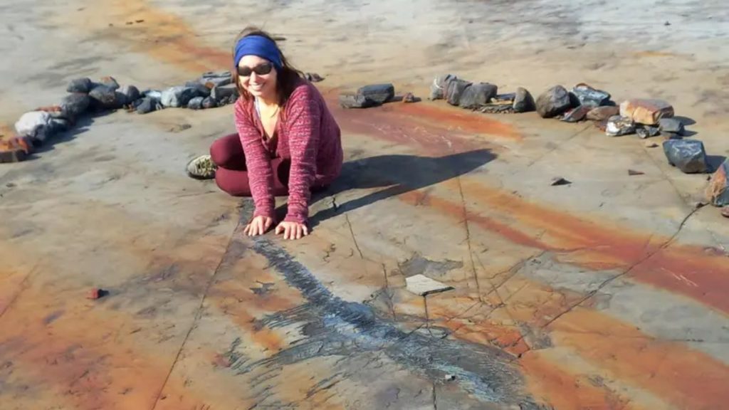 ictiosaurio Patagonia