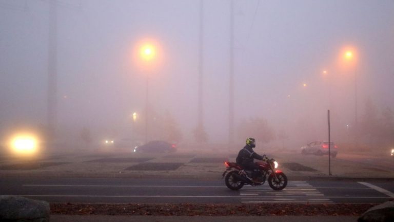 Portada Neblina Niebla