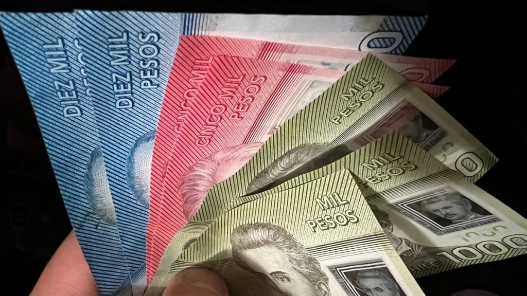 Bono Canasta Básica Pago