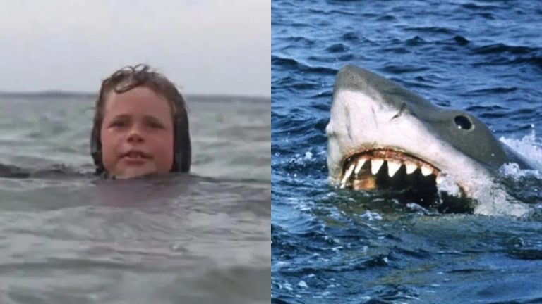Niño Película Tiburón