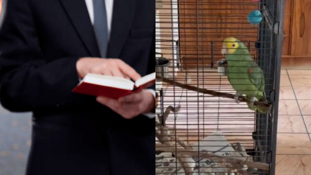 Testigos De Jehová Loro