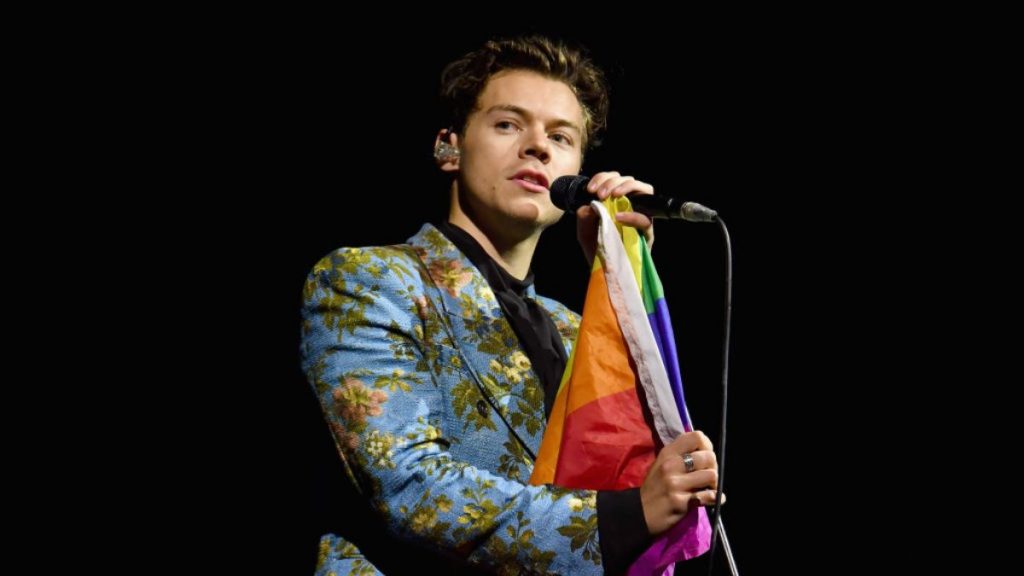 Harry Styles fanático