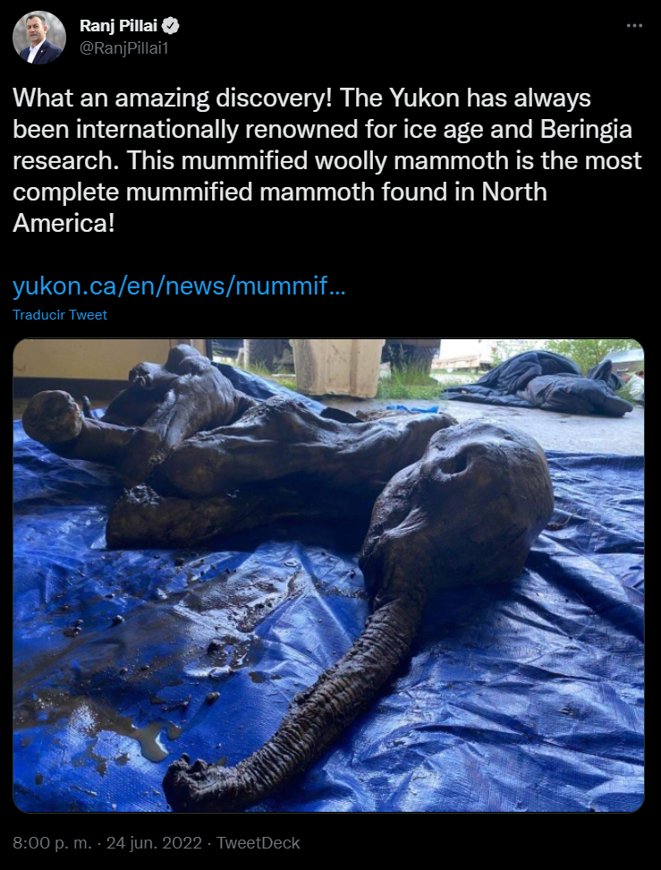 mamut congelado en canadá