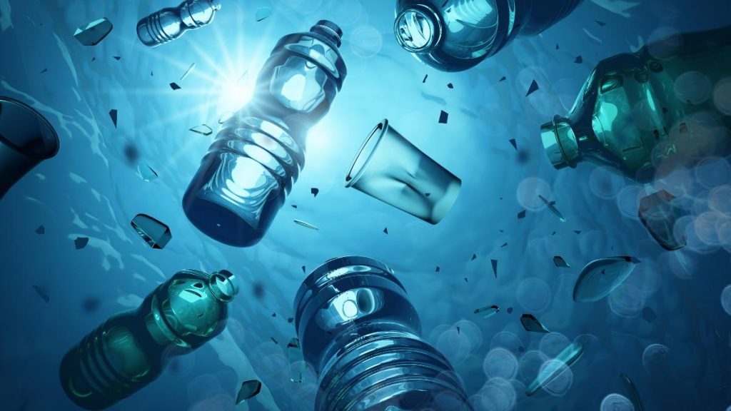 Dia Mundial Del Oceano