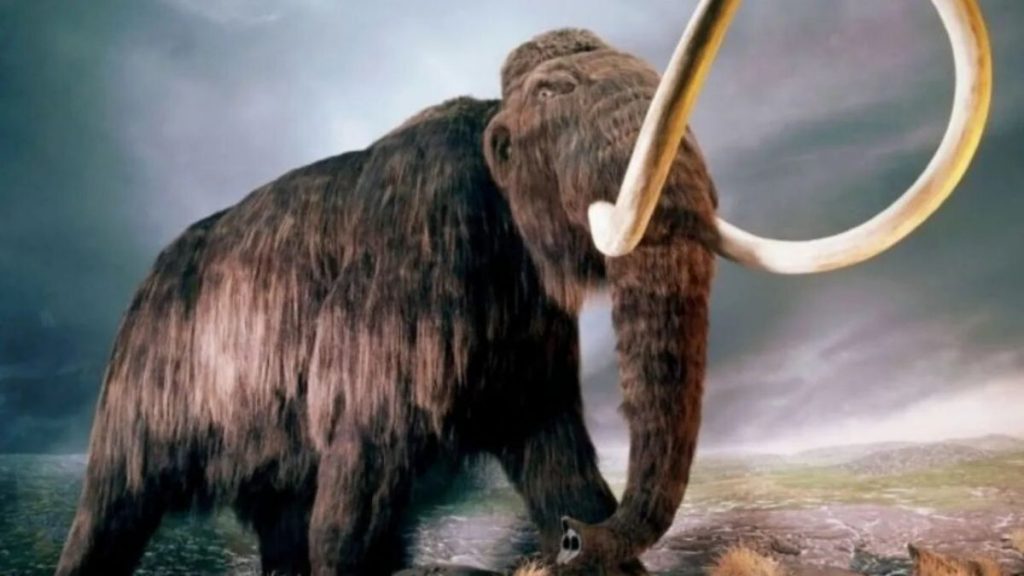 mamut congelado en canadá