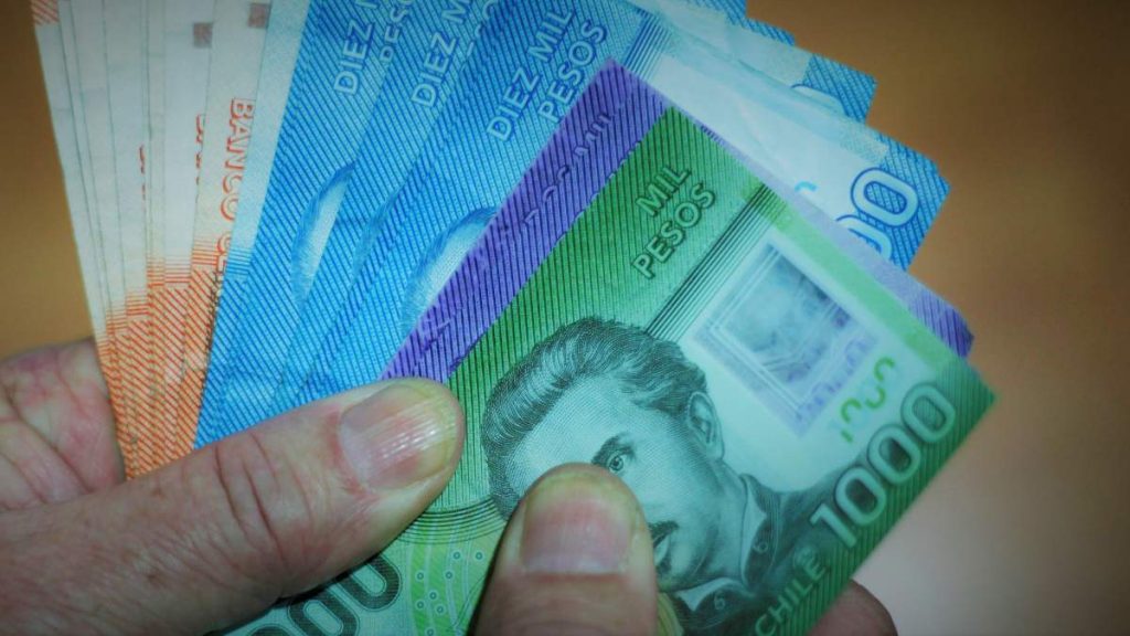 Red De Protección Social