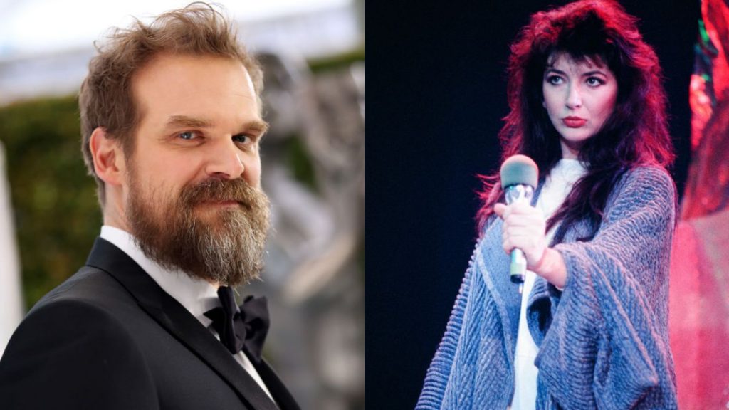 David Harbour Kate Bush
