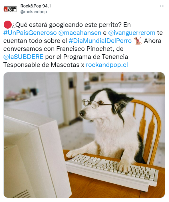 día del perro