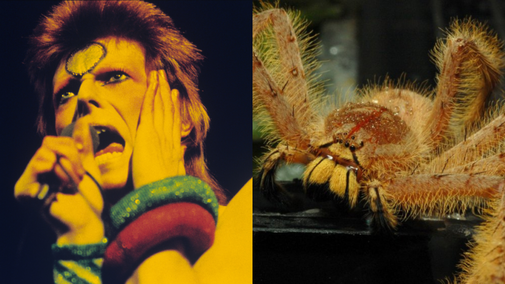 Getty Images/Mark Pajak.