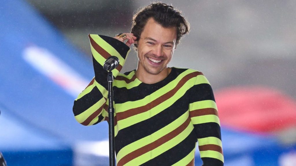 Harry Styles nuggets