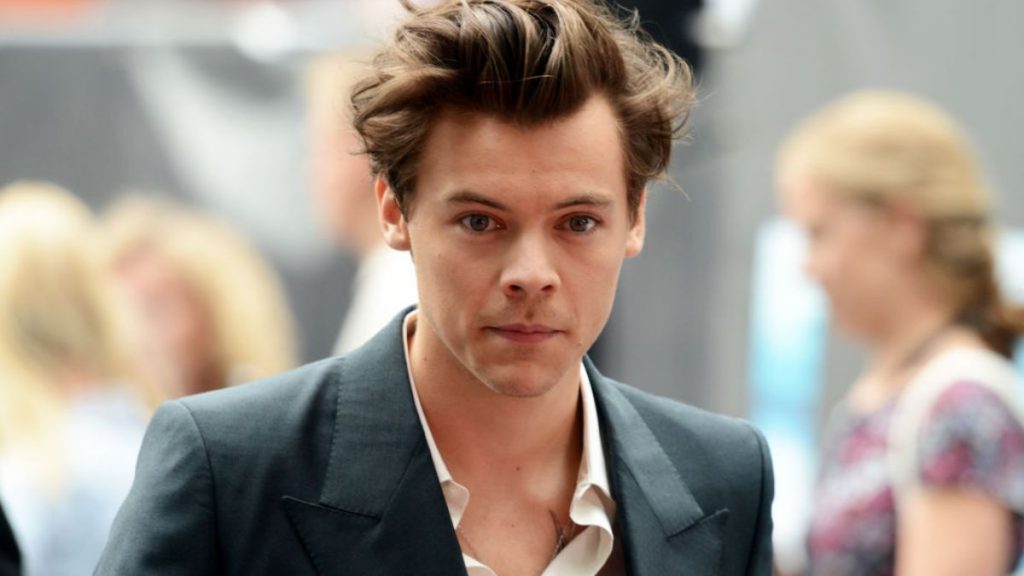Harry Styles calvo