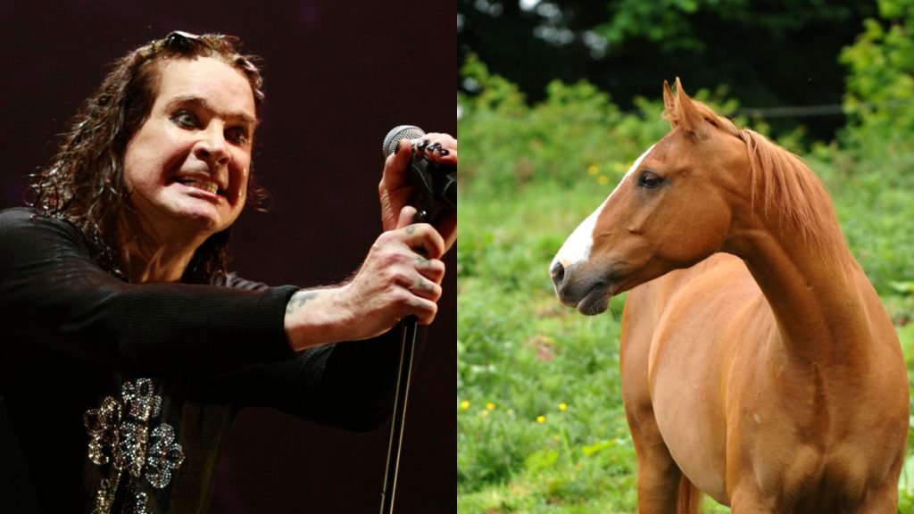 ozzy osbourne caballo