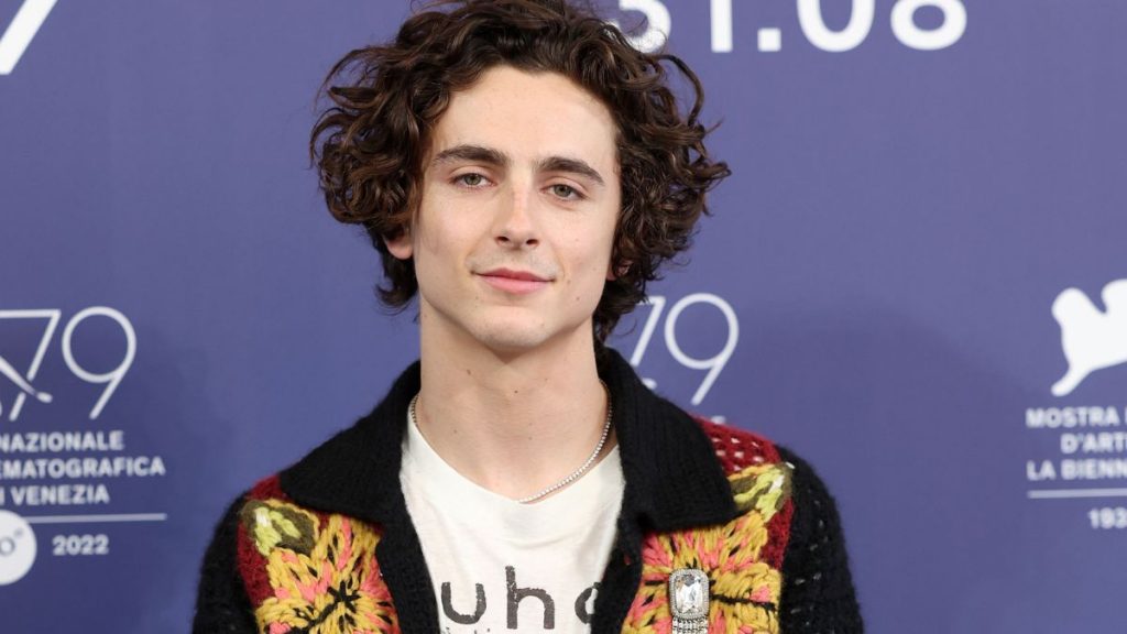 Timothée Chalamet redes sociales