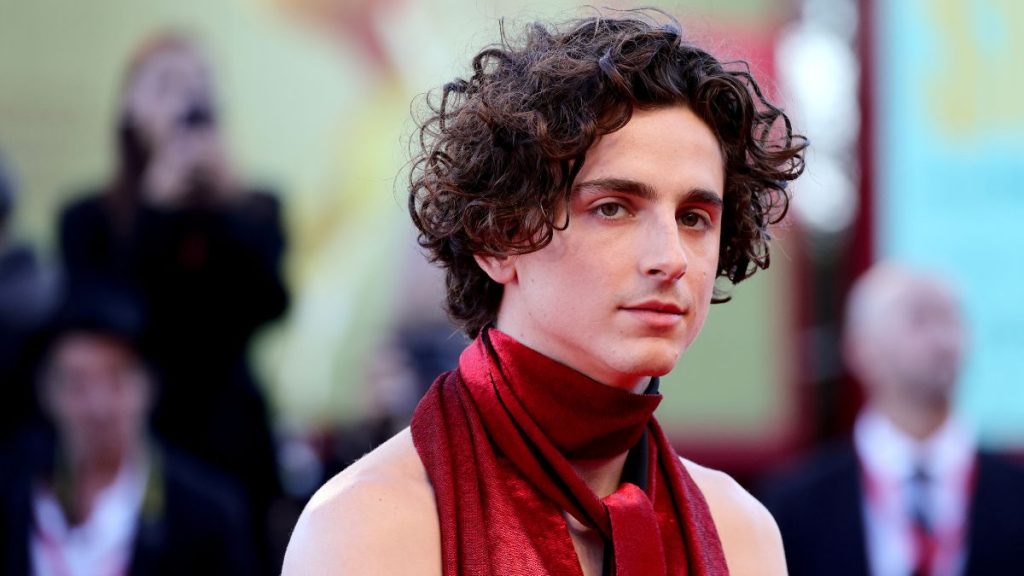 Timothée Chalamet Leonardo DiCaprio