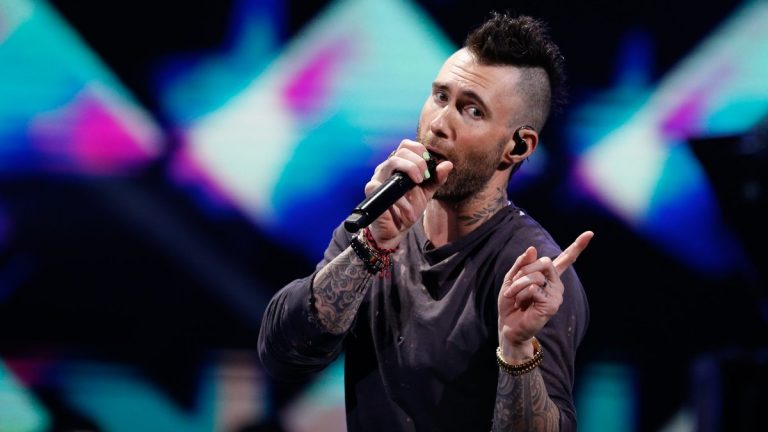 adam levine disculpas plebiscito