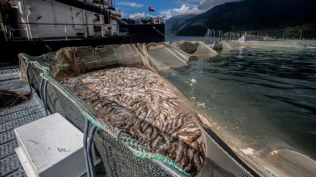 por aquí no documental