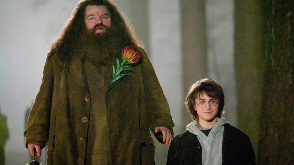 Robbie Coltrane Daniel Radcliffe