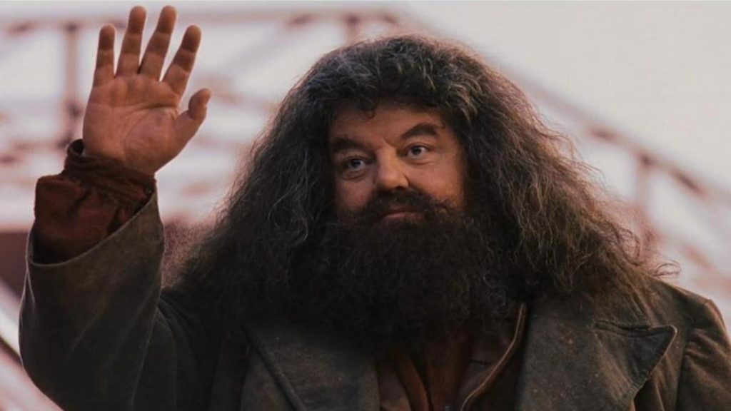 ROBBIE COLTRANE