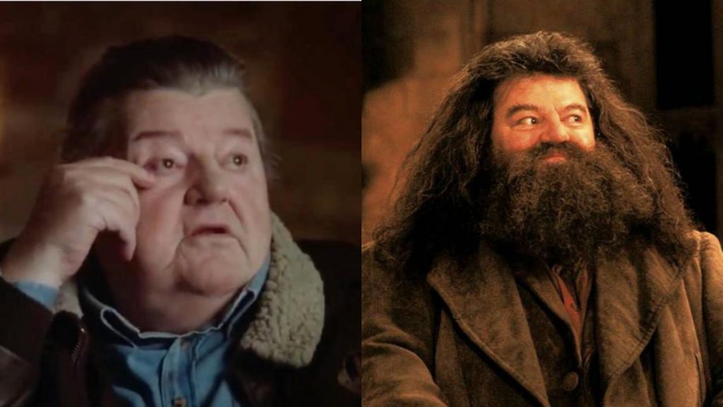 hagrid harry potter