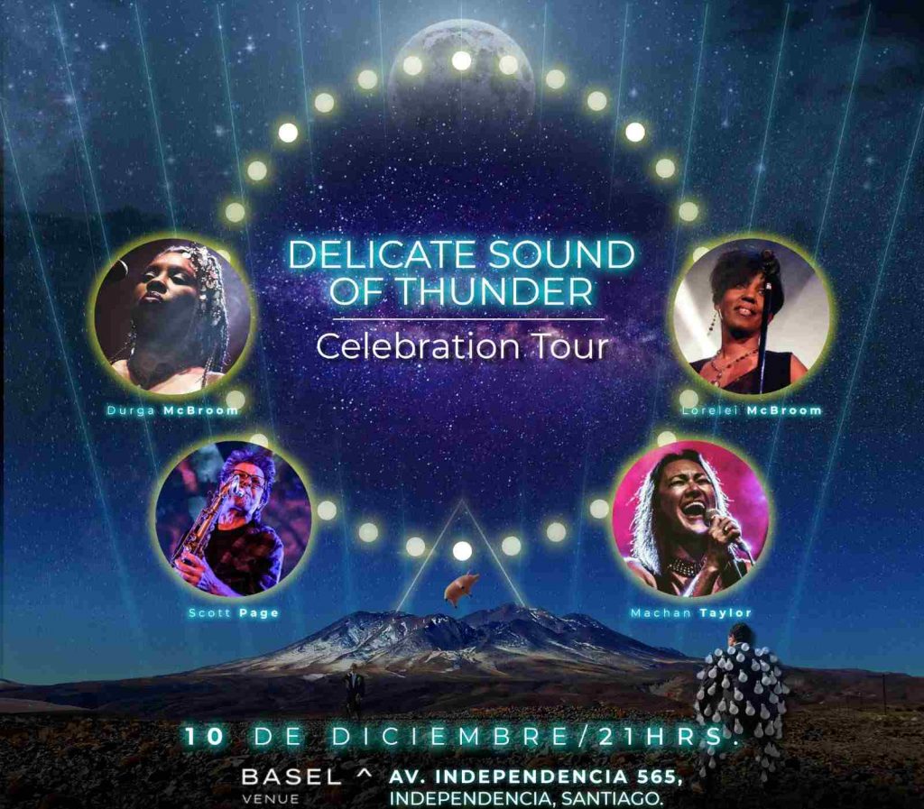 delicate sound of thunder pink floyd anuncio