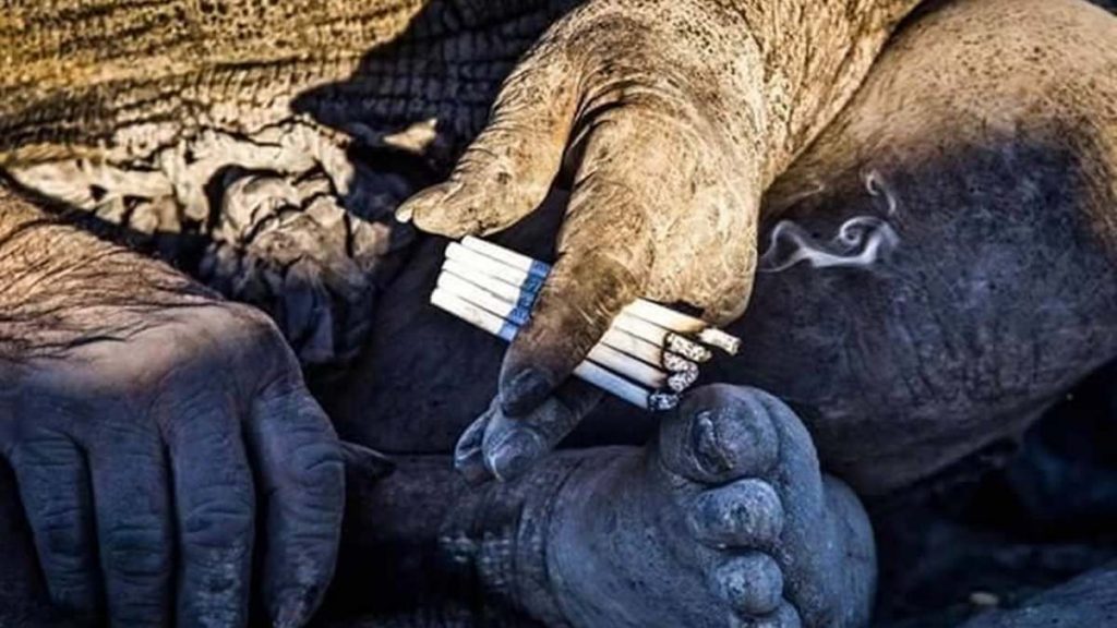 hombre más sucio del mundo