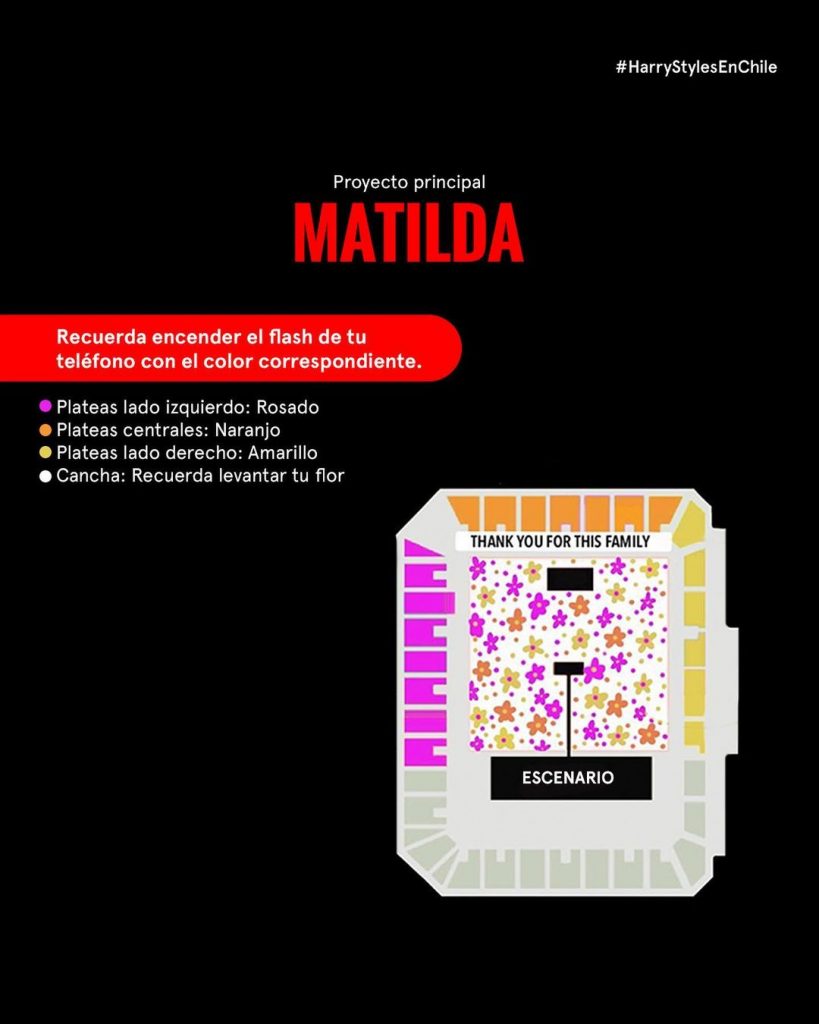 harry styles en chile