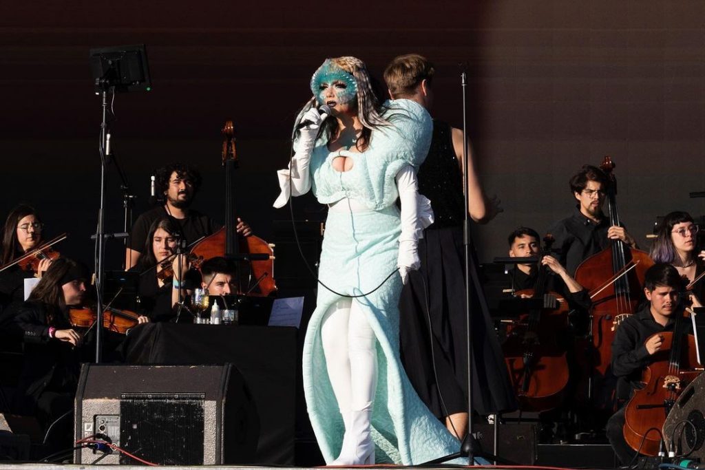 bjork en chile