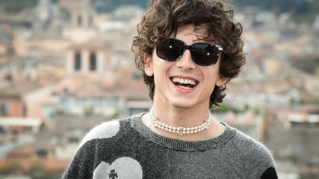 Timothée Chalamet película favorita