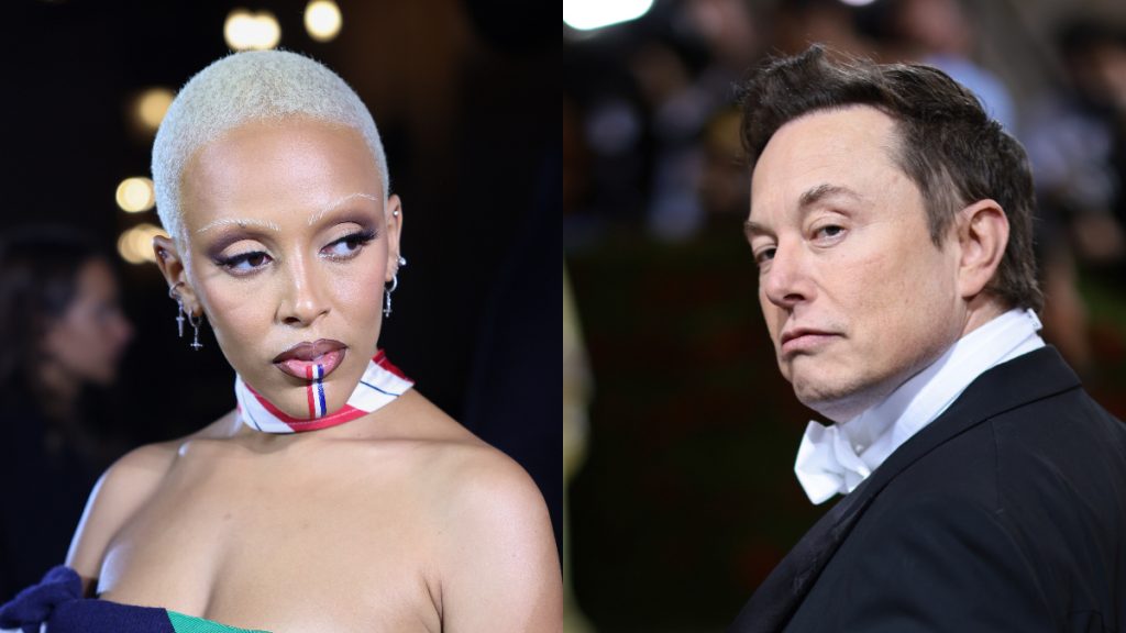 doja cat elon musk