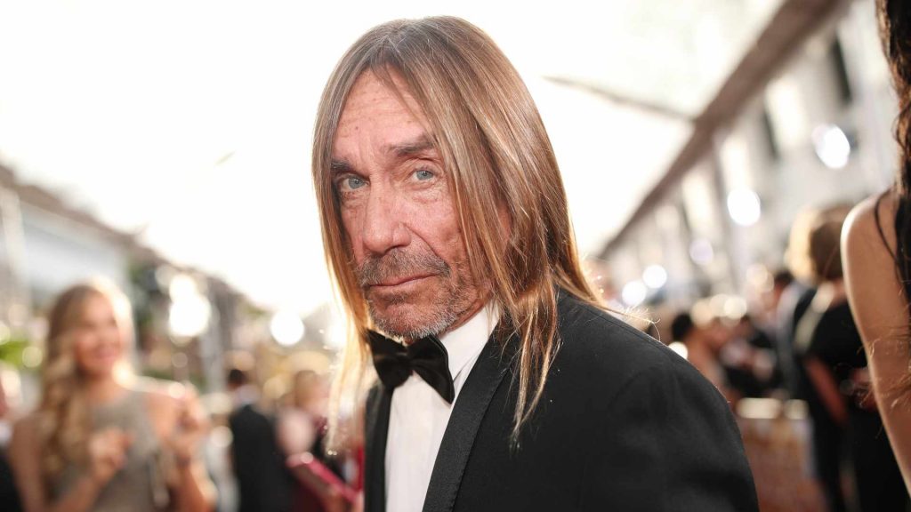 iggy pop nuevo álbum