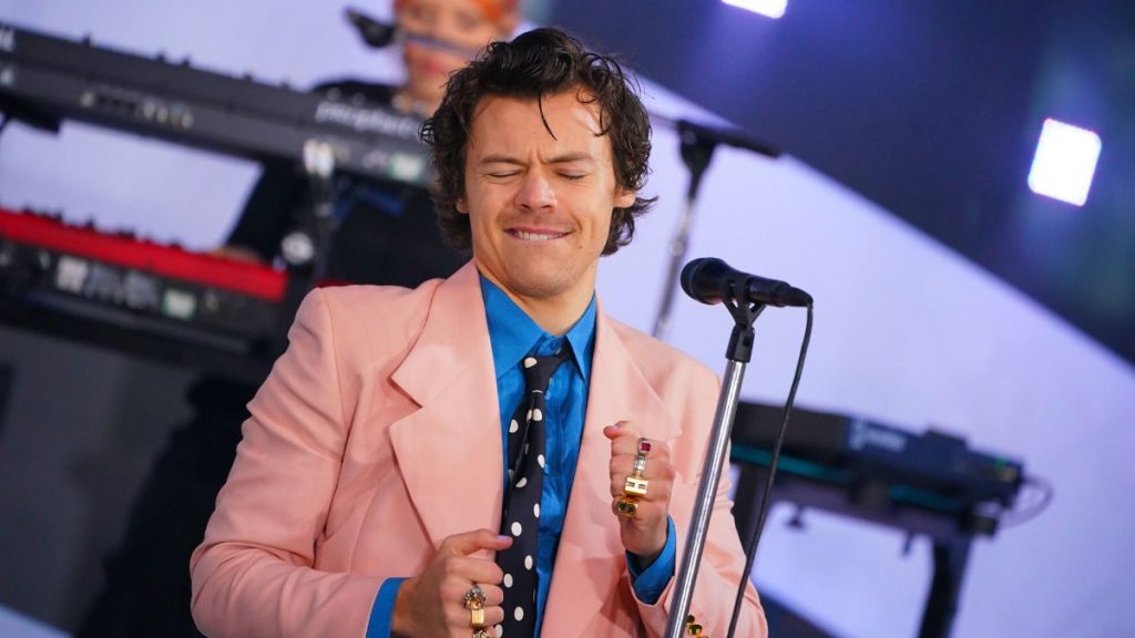 Harry Styles apertura de puertas