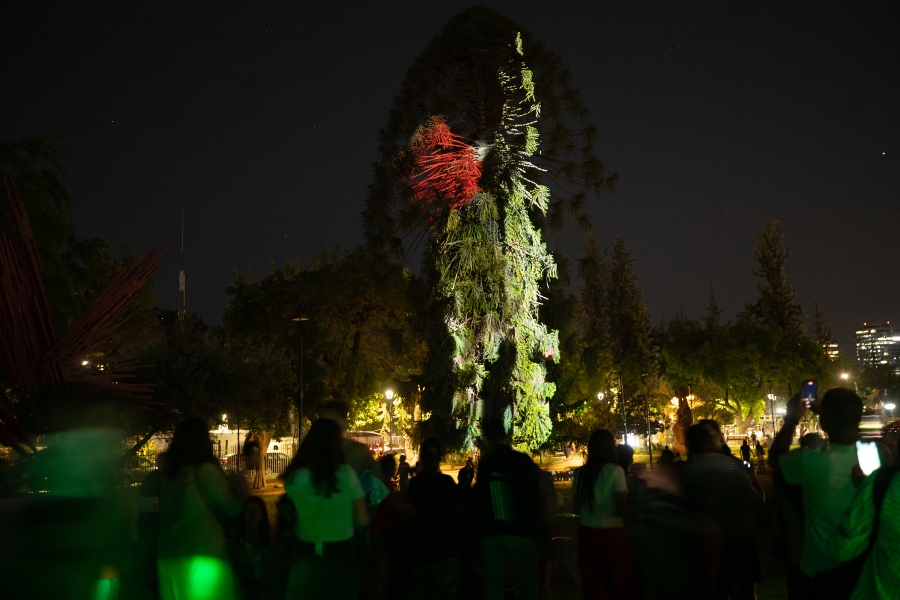 parque de las esculturas luces