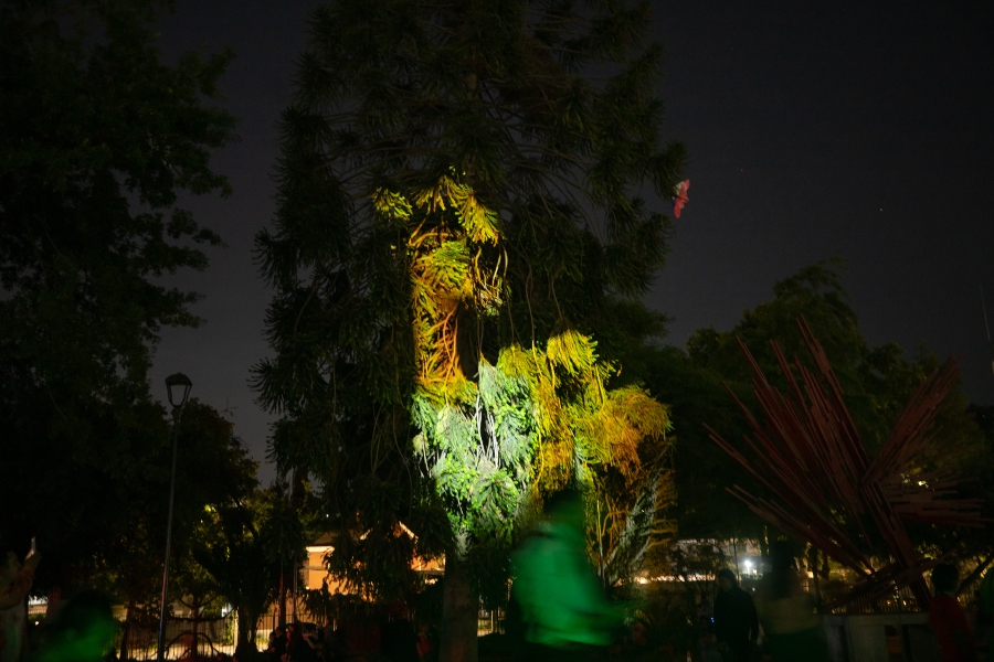 parque de las esculturas luces