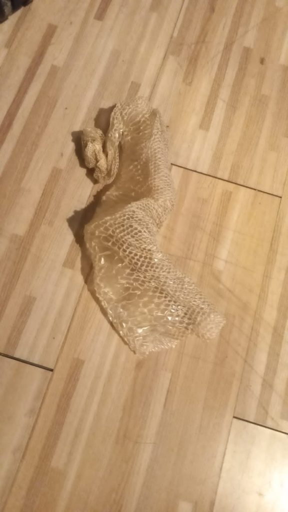 serpiente departamento macul