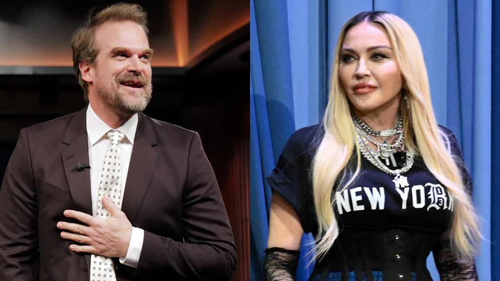 david harbour madonna