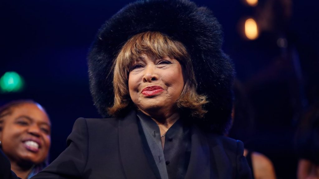 tina turner muerte hijo